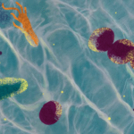 ilustración llamada nado microbiano