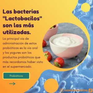 WhatsApp Image 2021-09-24 at 16.02.30 (1)