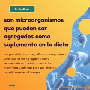 WhatsApp Image 2021-09-24 at 16.02.30